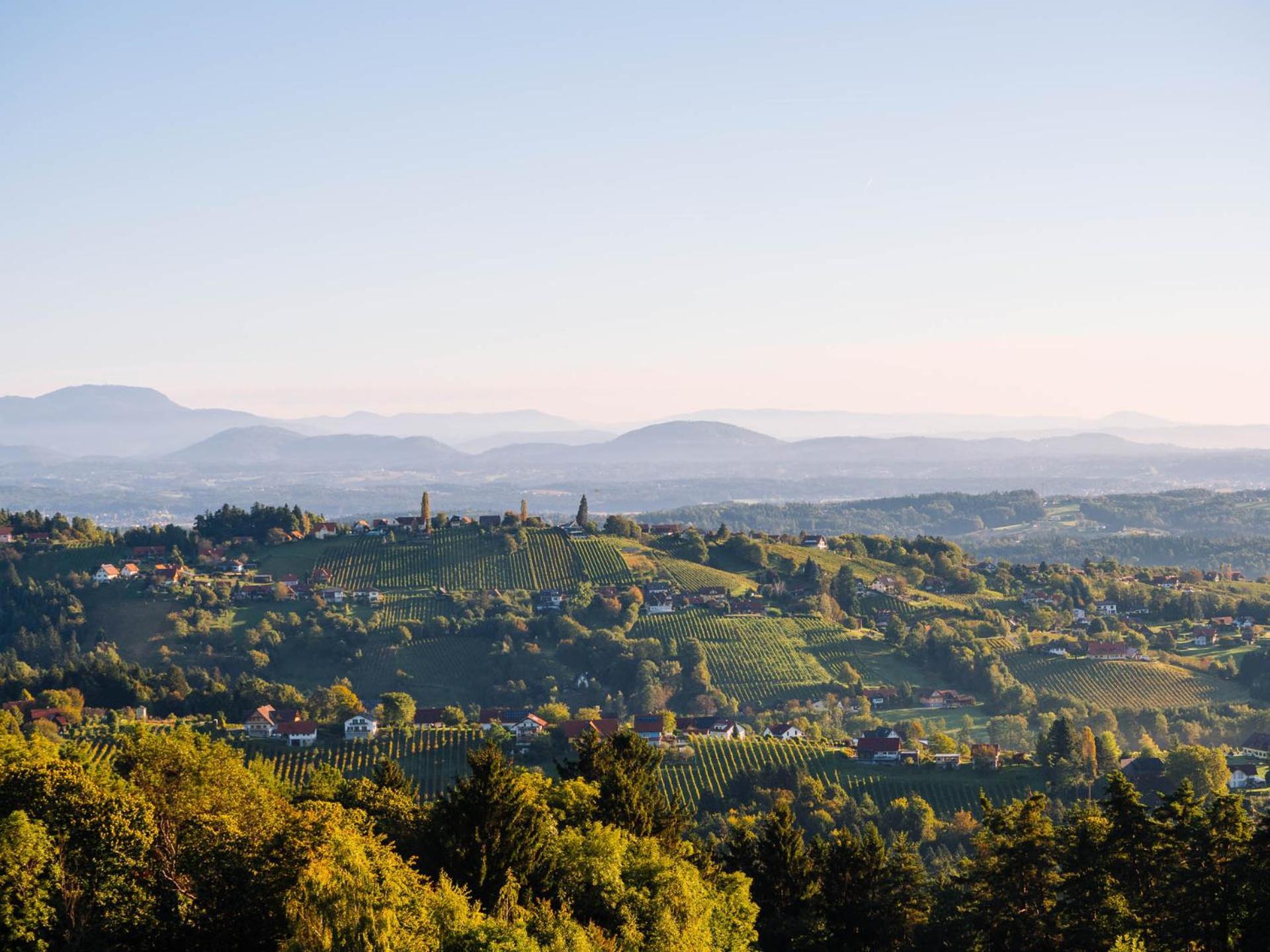 Schilcherlandleben - Hochgrail Greisdorf Luaran gambar